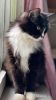 Margo (5)